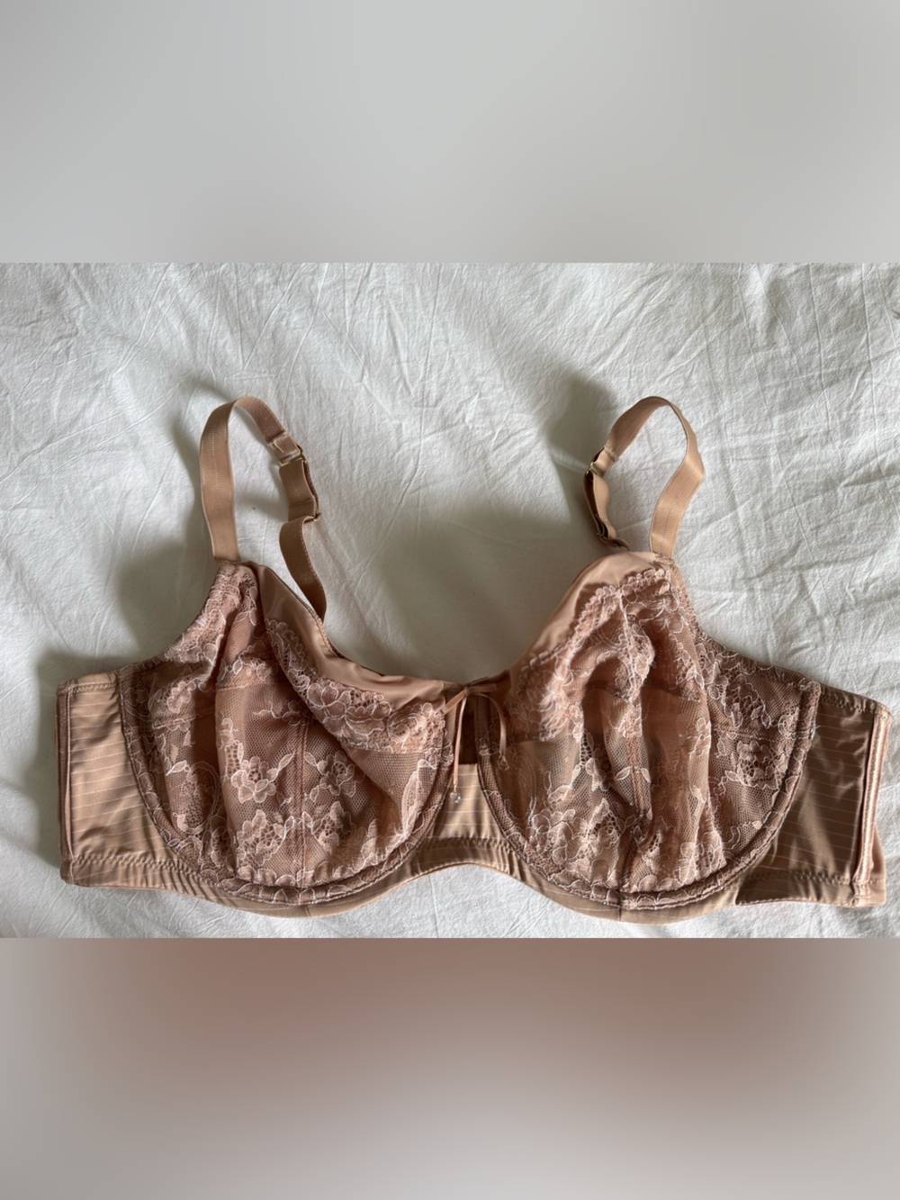 Ashley Graham Nude Bra